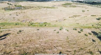 Terrain à Santiago Maior de 237 500 m²