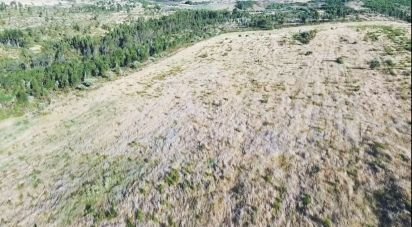 Terrain à Santiago Maior de 237 500 m²