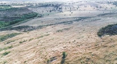 Terrain à Santiago Maior de 237 500 m²