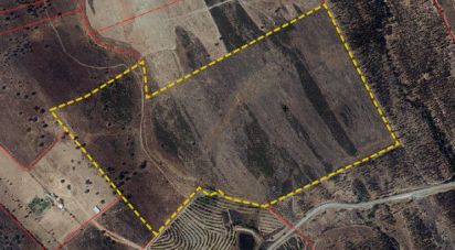 Terrain à Santiago Maior de 237 500 m²