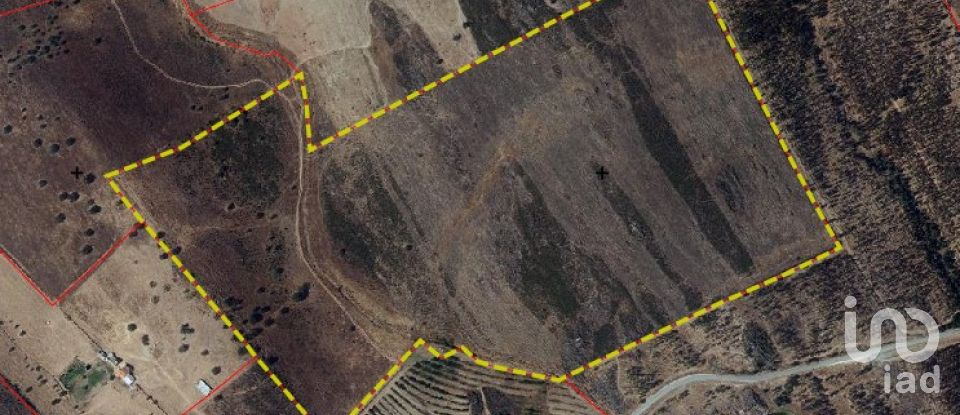 Land in Santiago Maior of 237,500 m²