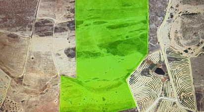 Terrain à Santiago Maior de 237 500 m²