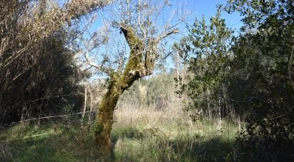 Terrain à Freixianda, Ribeira do Fárrio e Formigais de 2 840 m²