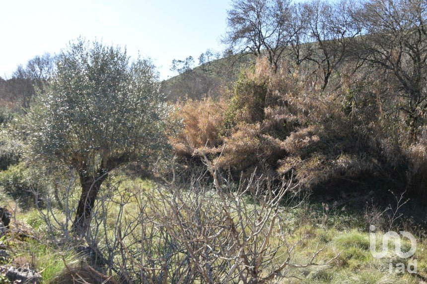 Terrain à Freixianda, Ribeira do Fárrio e Formigais de 2 840 m²