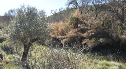 Terrain à Freixianda, Ribeira do Fárrio e Formigais de 2 840 m²