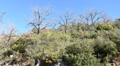 Terrain à Freixianda, Ribeira do Fárrio e Formigais de 2 840 m²