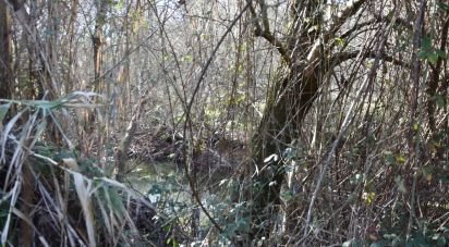 Terrain à Freixianda, Ribeira do Fárrio e Formigais de 2 840 m²