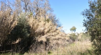 Terrain à Freixianda, Ribeira do Fárrio e Formigais de 2 840 m²