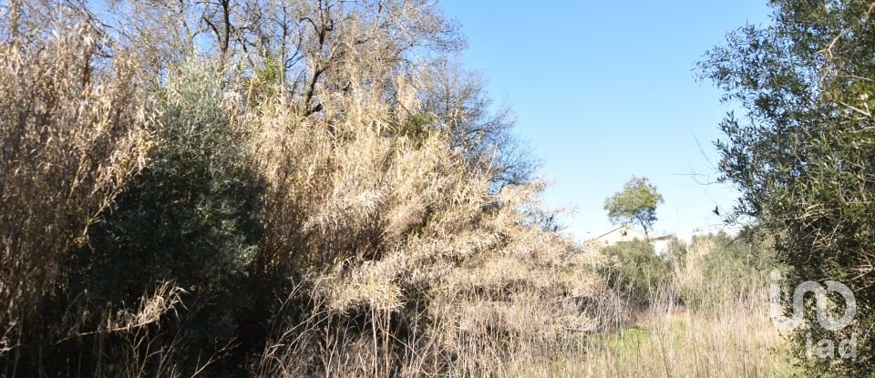 Terrain à Freixianda, Ribeira do Fárrio e Formigais de 2 840 m²