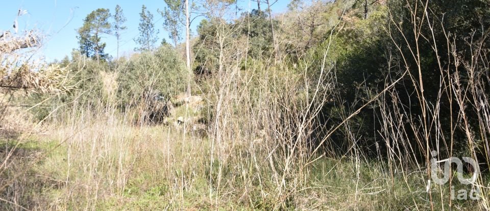 Terrain à Freixianda, Ribeira do Fárrio e Formigais de 2 840 m²