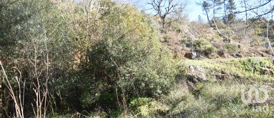 Terrain à Freixianda, Ribeira do Fárrio e Formigais de 2 840 m²