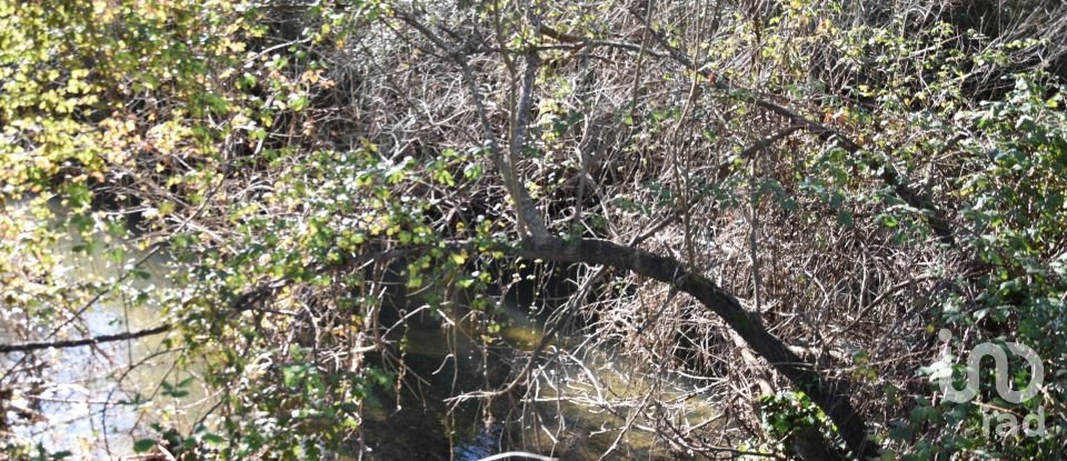 Terrain à Freixianda, Ribeira do Fárrio e Formigais de 2 840 m²