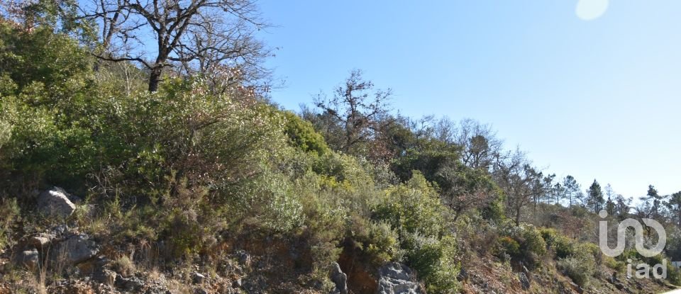 Terrain à Freixianda, Ribeira do Fárrio e Formigais de 2 840 m²