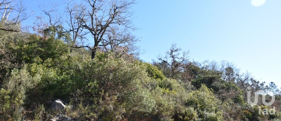 Terrain à Freixianda, Ribeira do Fárrio e Formigais de 2 840 m²