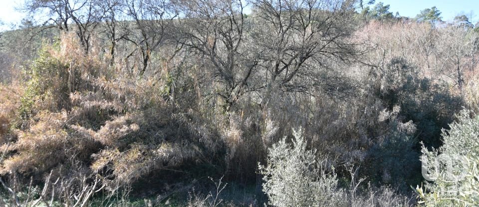 Terrain à Freixianda, Ribeira do Fárrio e Formigais de 2 840 m²