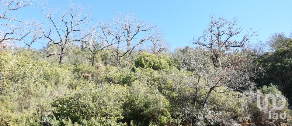 Terrain à Freixianda, Ribeira do Fárrio e Formigais de 2 840 m²