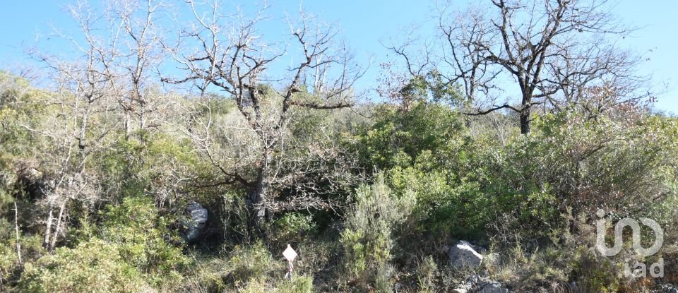 Terrain à Freixianda, Ribeira do Fárrio e Formigais de 2 840 m²