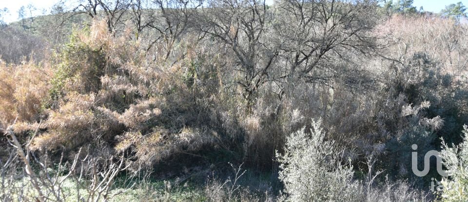 Terrain à Freixianda, Ribeira do Fárrio e Formigais de 2 840 m²