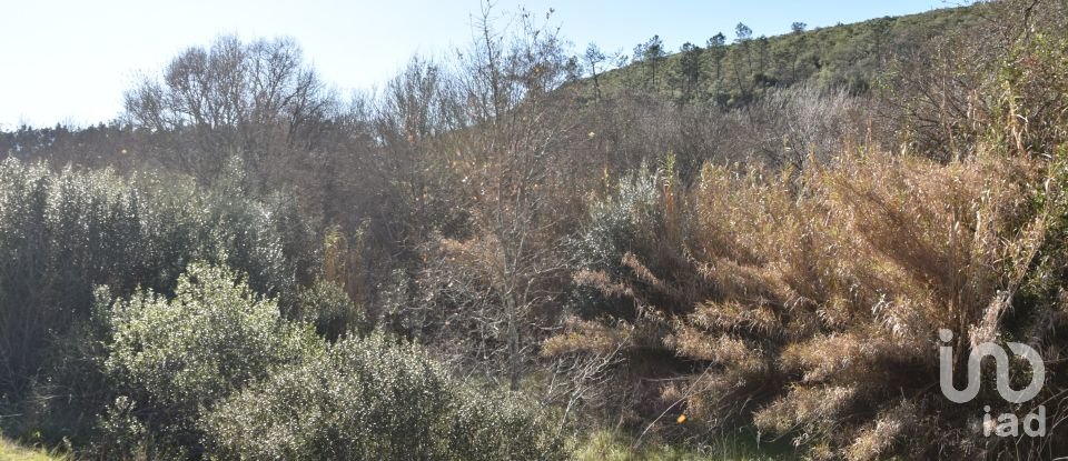 Terrain à Freixianda, Ribeira do Fárrio e Formigais de 2 840 m²