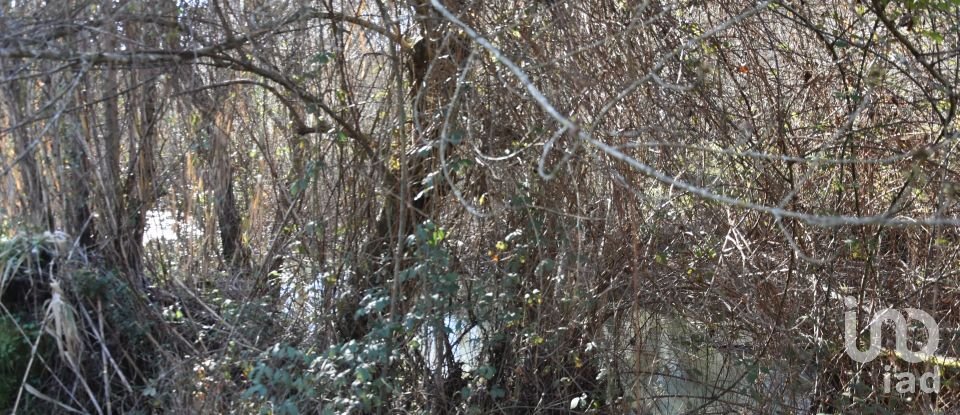 Terrain à Freixianda, Ribeira do Fárrio e Formigais de 2 840 m²