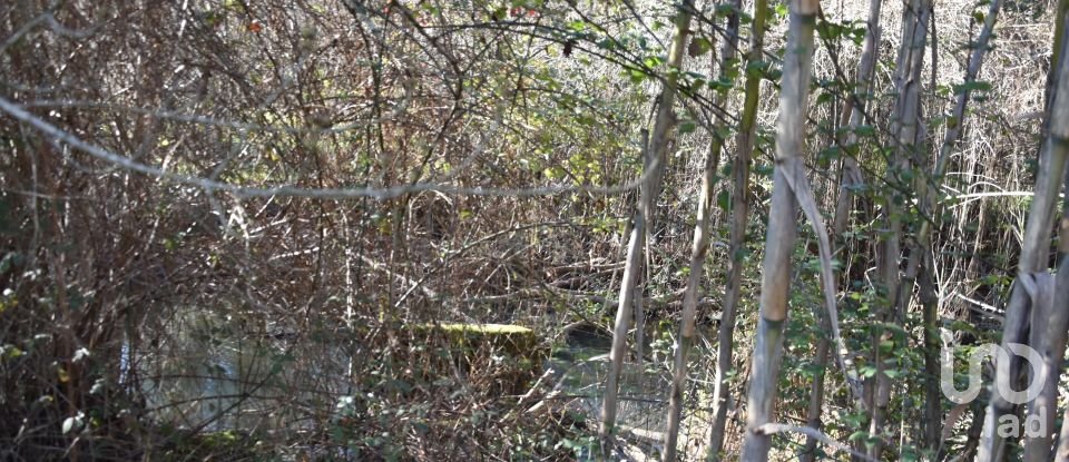 Terrain à Freixianda, Ribeira do Fárrio e Formigais de 2 840 m²
