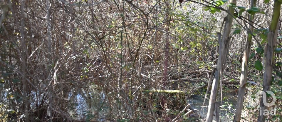 Terrain à Freixianda, Ribeira do Fárrio e Formigais de 2 840 m²