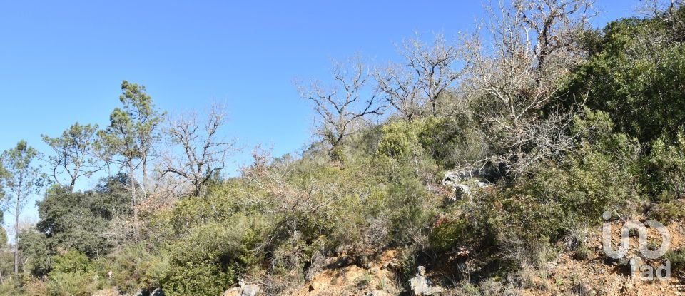 Terrain à Freixianda, Ribeira do Fárrio e Formigais de 2 840 m²