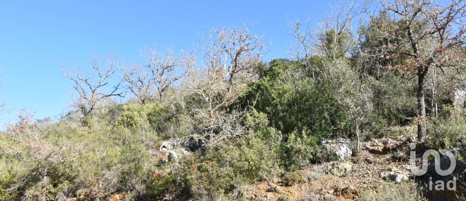 Terrain à Freixianda, Ribeira do Fárrio e Formigais de 2 840 m²