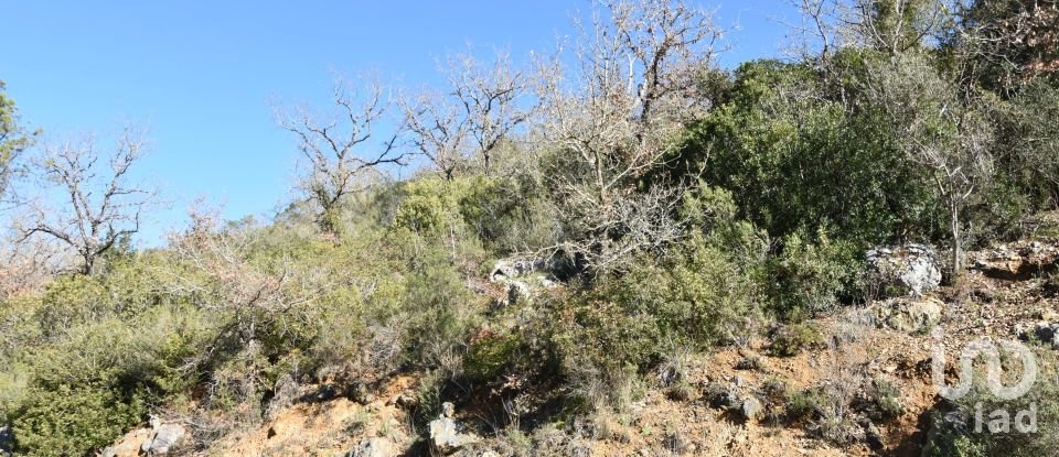 Terrain à Freixianda, Ribeira do Fárrio e Formigais de 2 840 m²