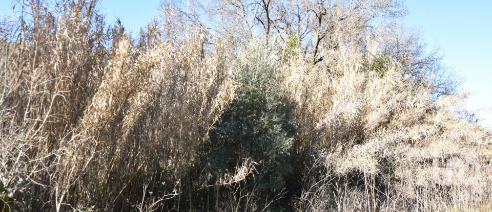 Terrain à Freixianda, Ribeira do Fárrio e Formigais de 2 840 m²