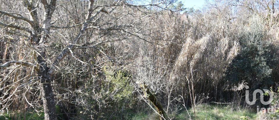 Terrain à Freixianda, Ribeira do Fárrio e Formigais de 2 840 m²