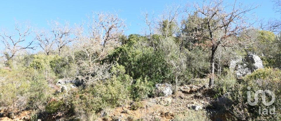 Terrain à Freixianda, Ribeira do Fárrio e Formigais de 2 840 m²