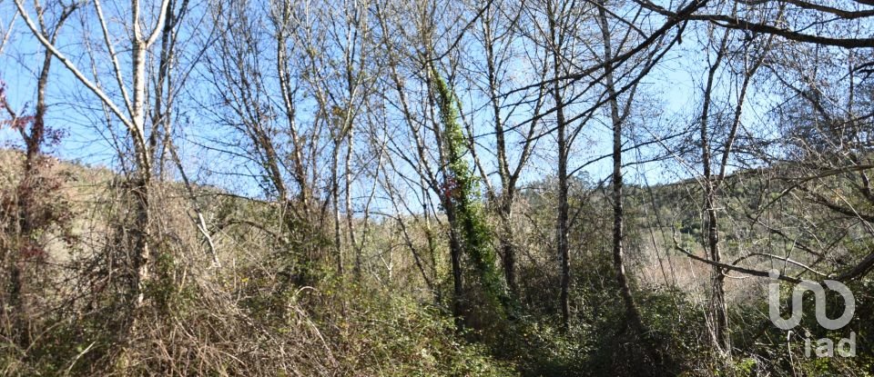 Terrain à Freixianda, Ribeira do Fárrio e Formigais de 2 840 m²