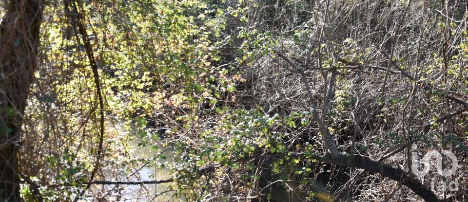 Terrain à Freixianda, Ribeira do Fárrio e Formigais de 2 840 m²