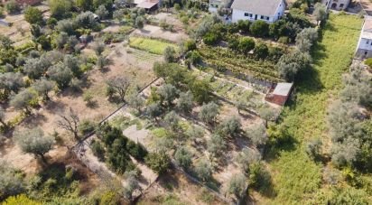 Ferme T5 à Lajeosa do Dão de 315 m²