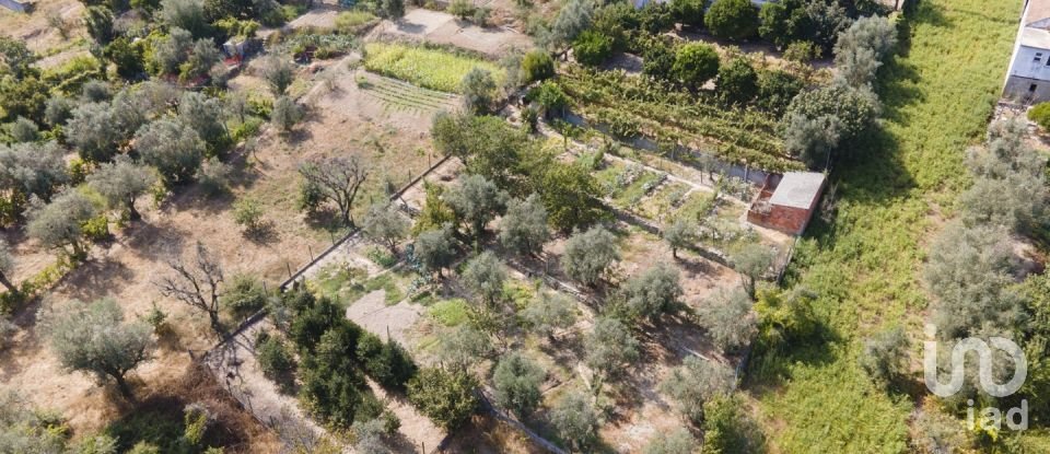 Ferme T5 à Lajeosa do Dão de 315 m²