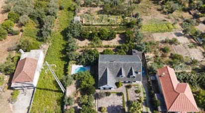 Ferme T5 à Lajeosa do Dão de 315 m²