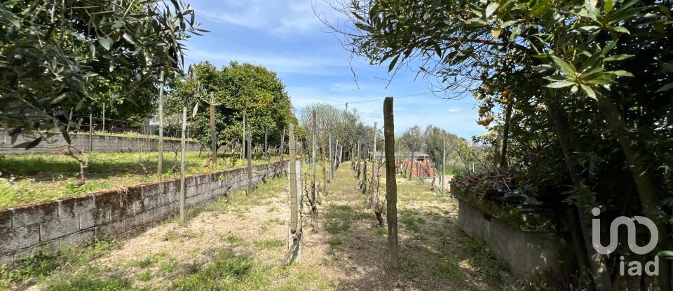 Ferme T5 à Lajeosa do Dão de 315 m²