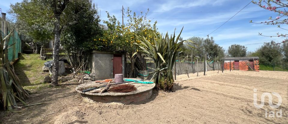 Ferme T5 à Lajeosa do Dão de 315 m²