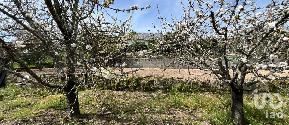 Ferme T5 à Lajeosa do Dão de 315 m²