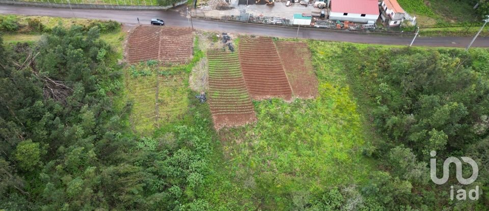 Terrain à bâtir à São Jorge de 3 630 m²