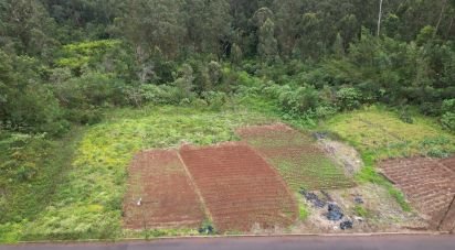 Terrain à bâtir à São Jorge de 3 630 m²