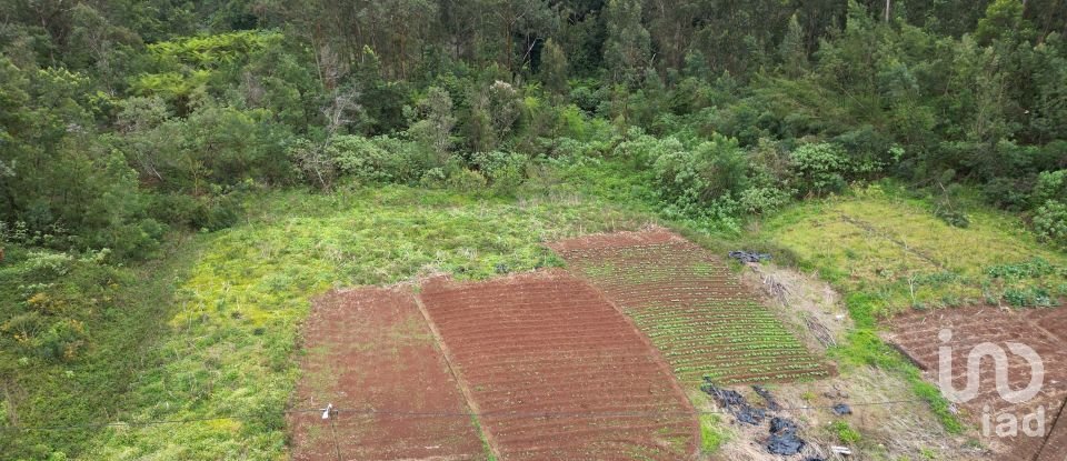 Terrain à bâtir à São Jorge de 3 630 m²