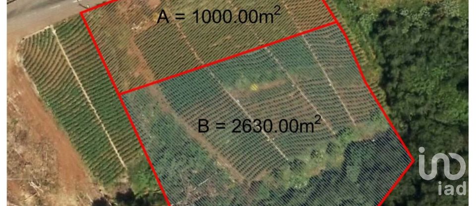 Terrain à bâtir à São Jorge de 3 630 m²