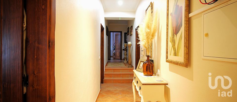 Gîte T4 à Borba (São Bartolomeu) de 197 m²