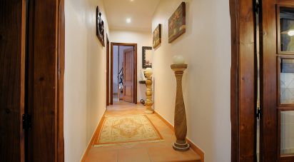 Lodge T4 in Borba (São Bartolomeu) of 197 m²