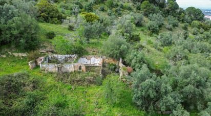 Terrain à Quinta do Anjo de 27 650 m²