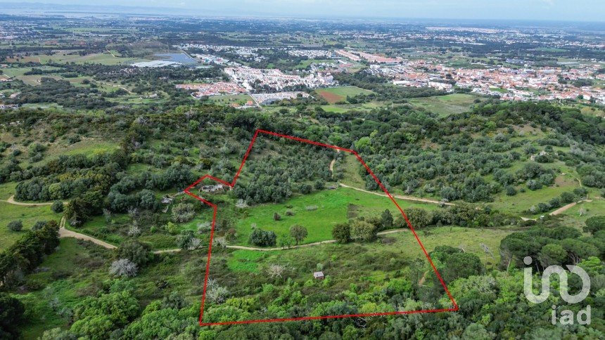 Land in Quinta do Anjo of 27,650 m²