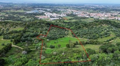 Land in Quinta do Anjo of 27,650 m²