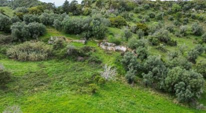 Terrain à Quinta do Anjo de 27 650 m²